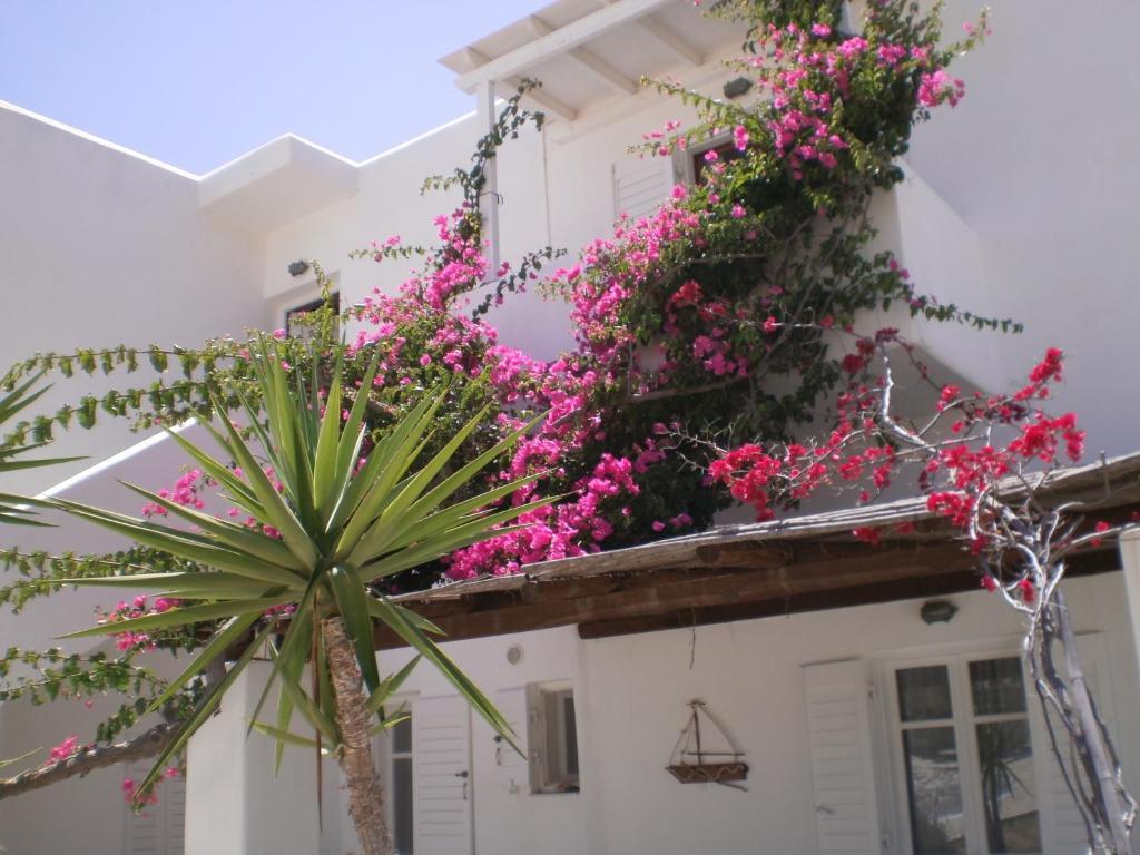 Paros Rita Studios 피소리바디 외부 사진