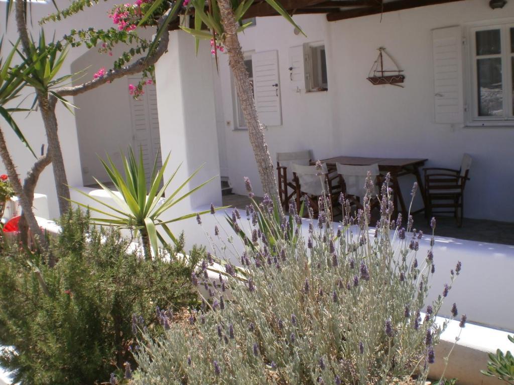 Paros Rita Studios 피소리바디 외부 사진
